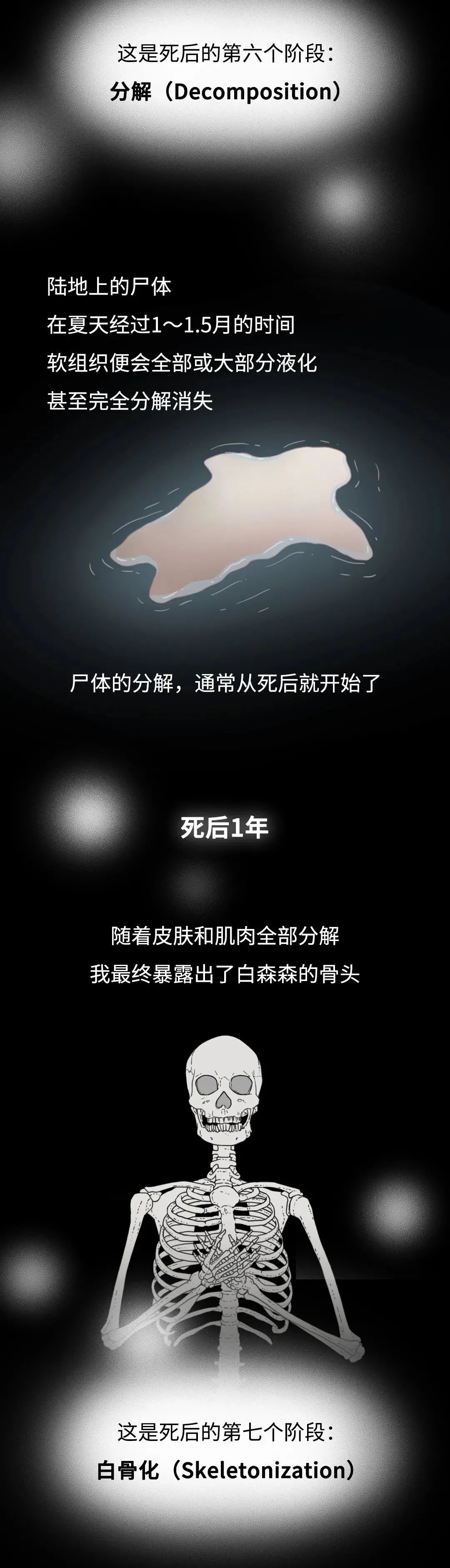 DƬ